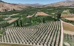 Antalya Büyükşehir Belediyesi GES ile Sülekler Mahallesi’nin kaderini değiştirdi