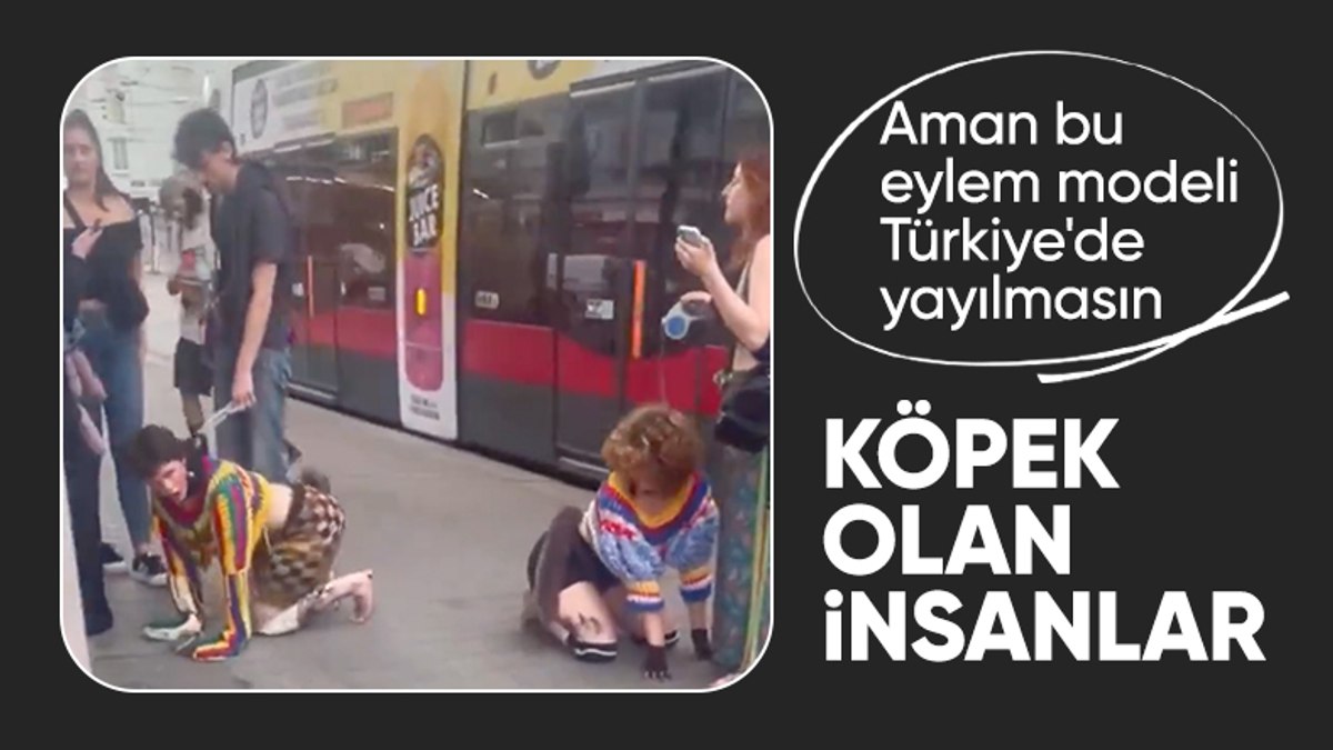 Almanya’da köpek vergisine karşı eylem: Tasma takıp, köpek oldular