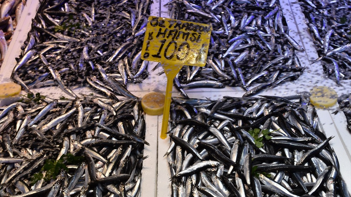 Trabzon’da hamsinin kilogramı 100 liradan satılıyor