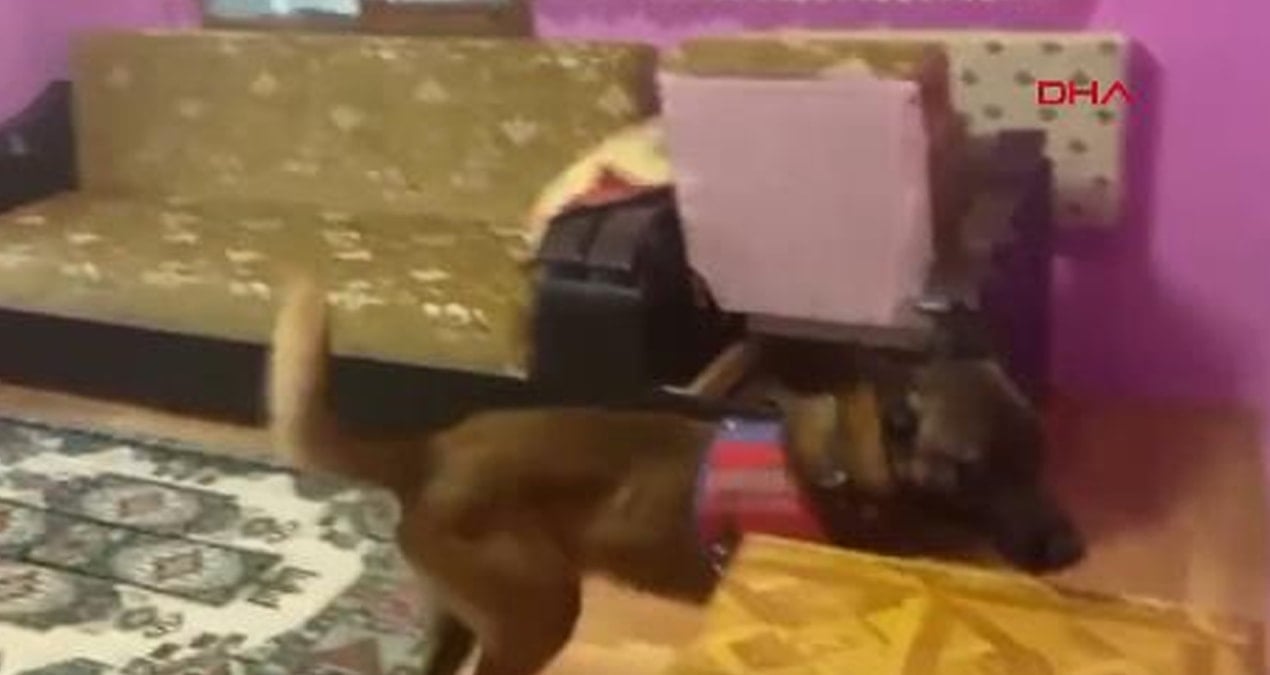 Yalova’da uyuşturucu operasyonu