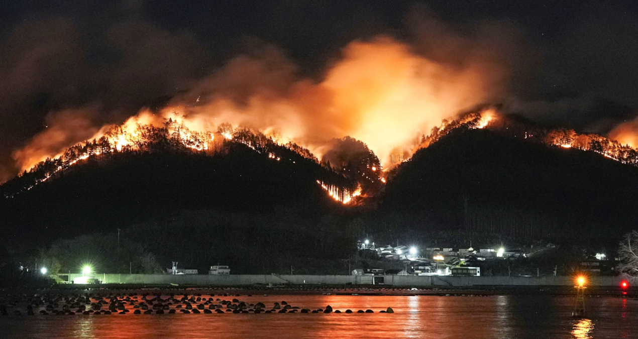 Japonya’da yangınların önüne geçilemiyor: 2 bin 100 hektar kül oldu